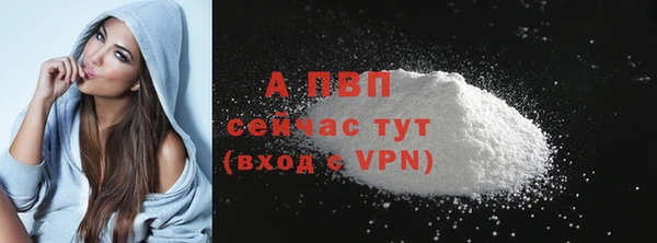 стафф Кинешма