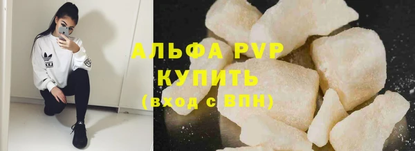 стафф Кинешма