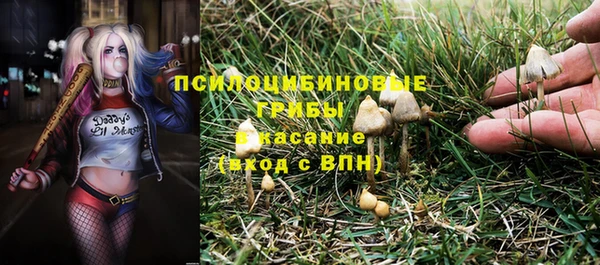 стафф Кинешма