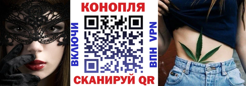 Купить закладки  Гвардейск  Канабис планчик 